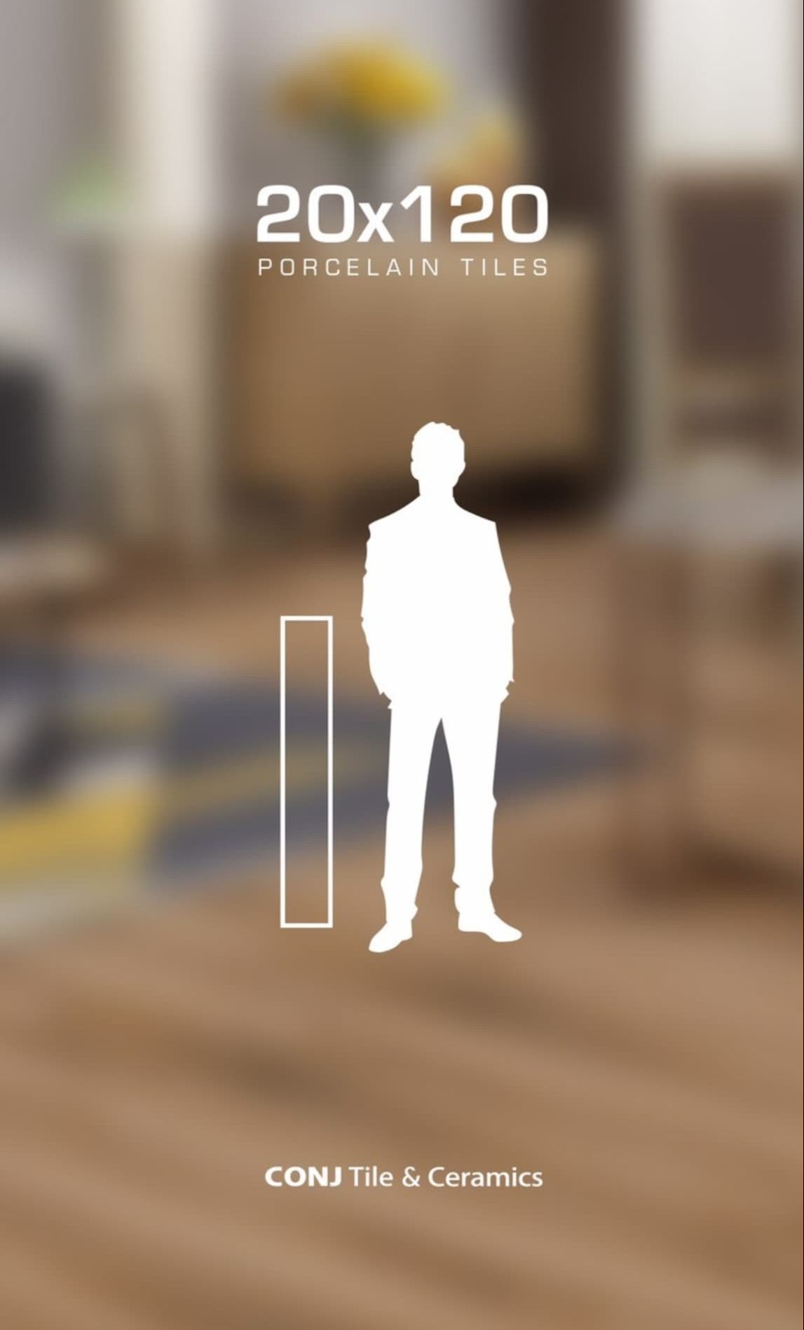 کاشی و سرامیک ۲۰*۱۲۰